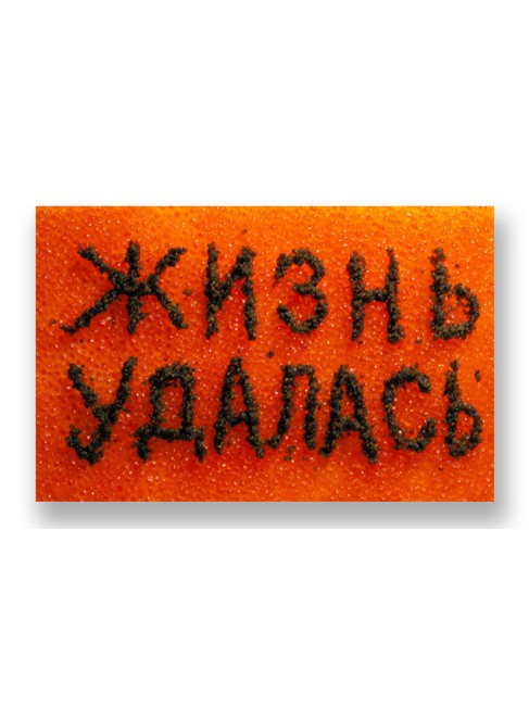 СУМКА ЖИЗНЬ УДАЛАСЬ